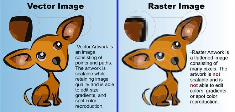 vector_vs_raster