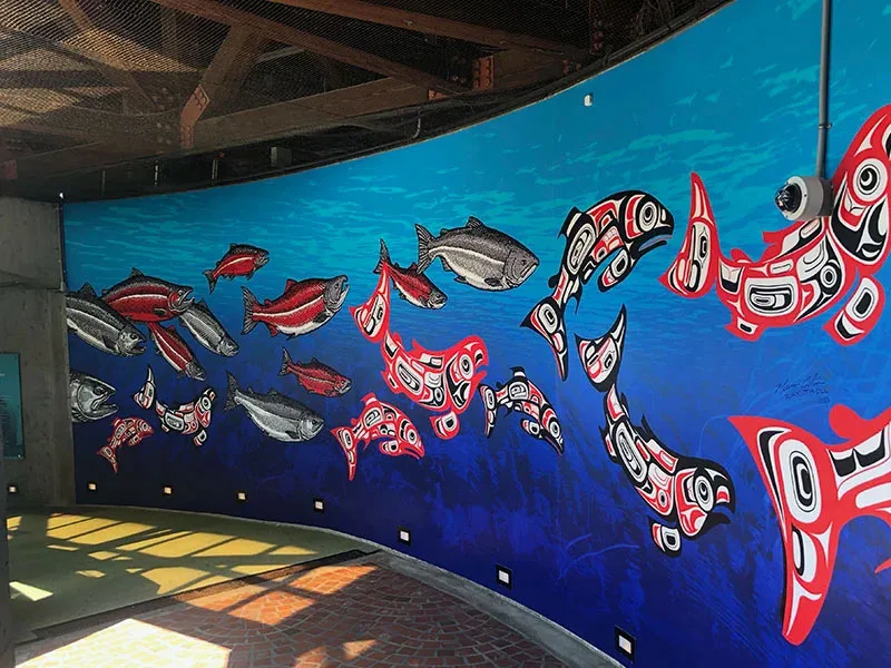 Curved Wall Graphic
