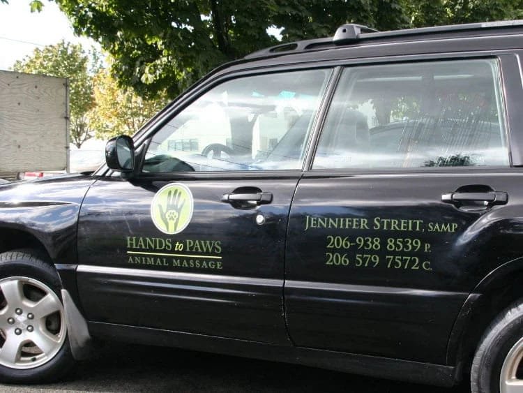 Custom Vinyl Lettering Graphics