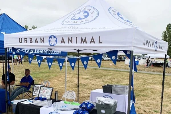 Popup Tent Display