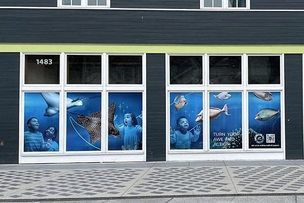 Printed Window Graphics