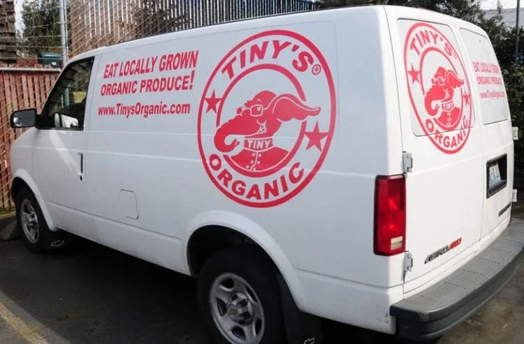 Custom Vinyl Graphics, Lettering and Logo