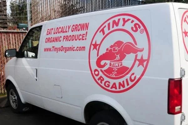 Van Lettering and Logos