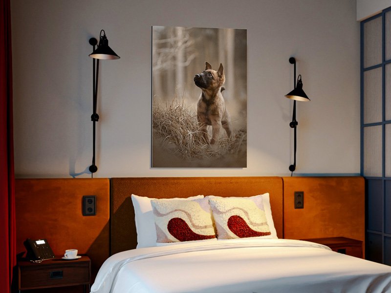 corporate art Art Print on ACM