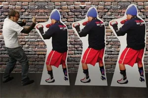 Lifesize Cutout & Displays