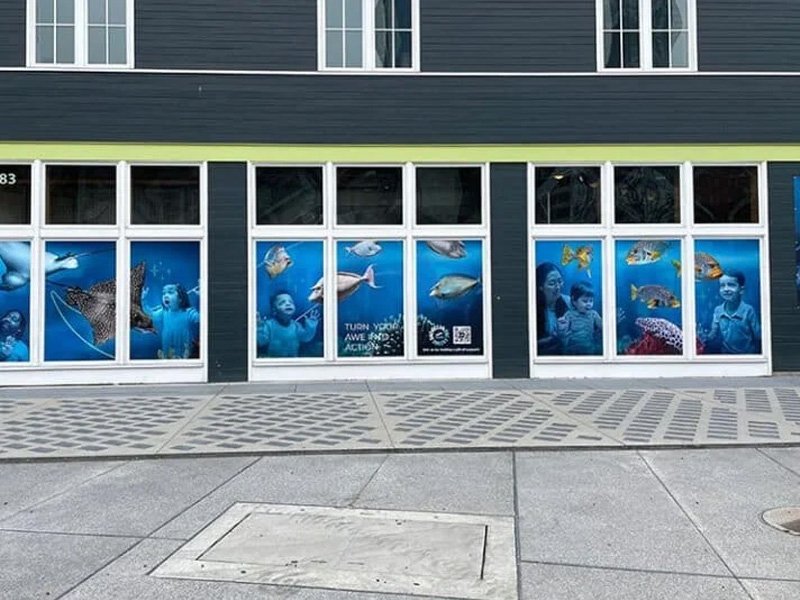 window graphics