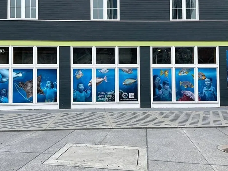 window graphics