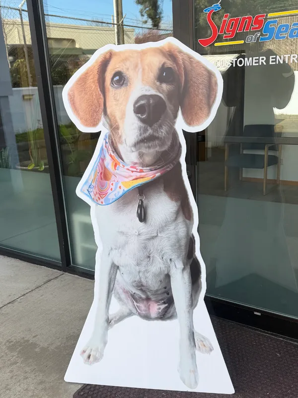 Bigger Than Lifesize Doggie